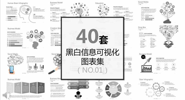 40套黑白信息可视化图表集01之动态PPT模板