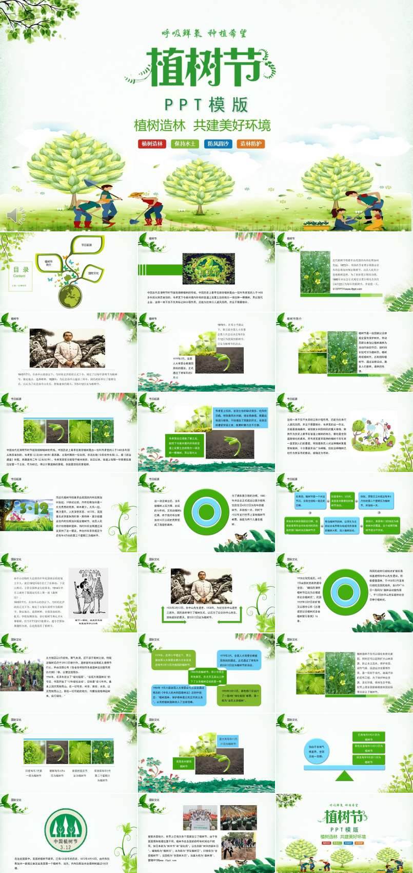 植树节文化植树造林共建美好环境PPT模板