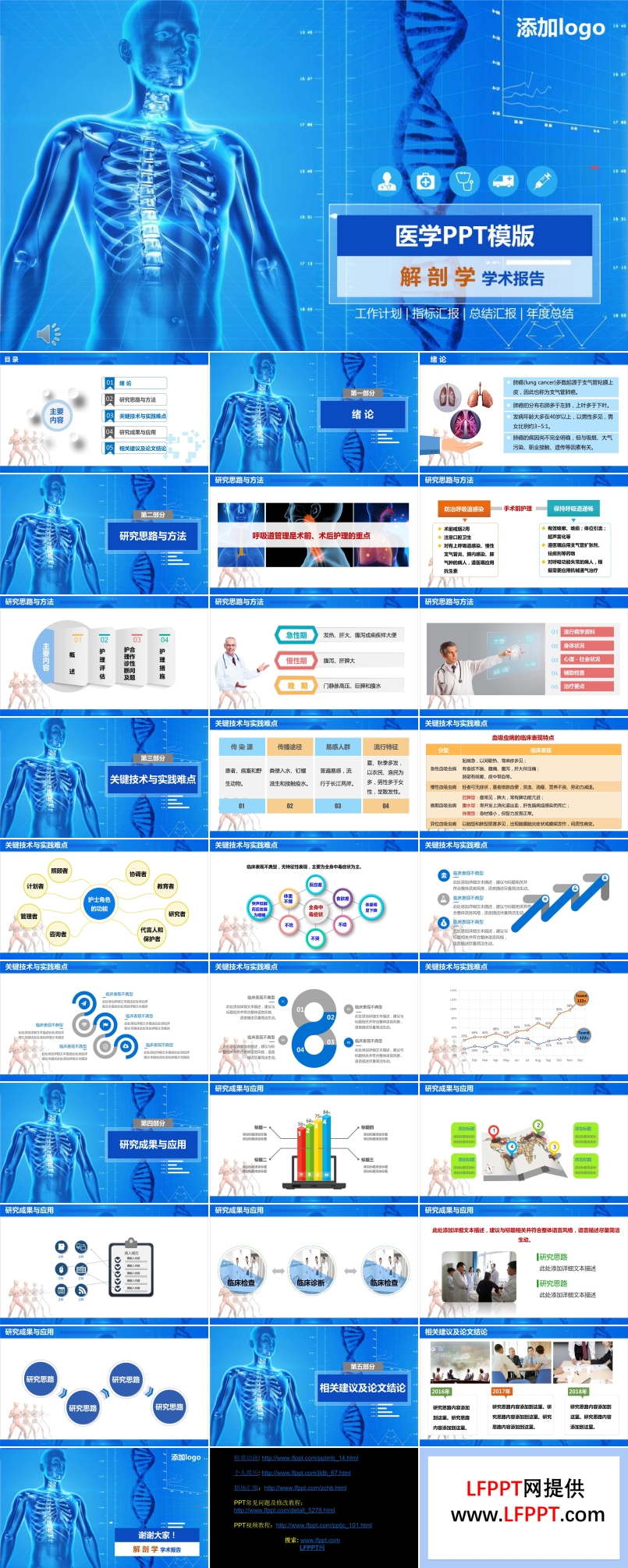 解剖学学术报告PPT模板