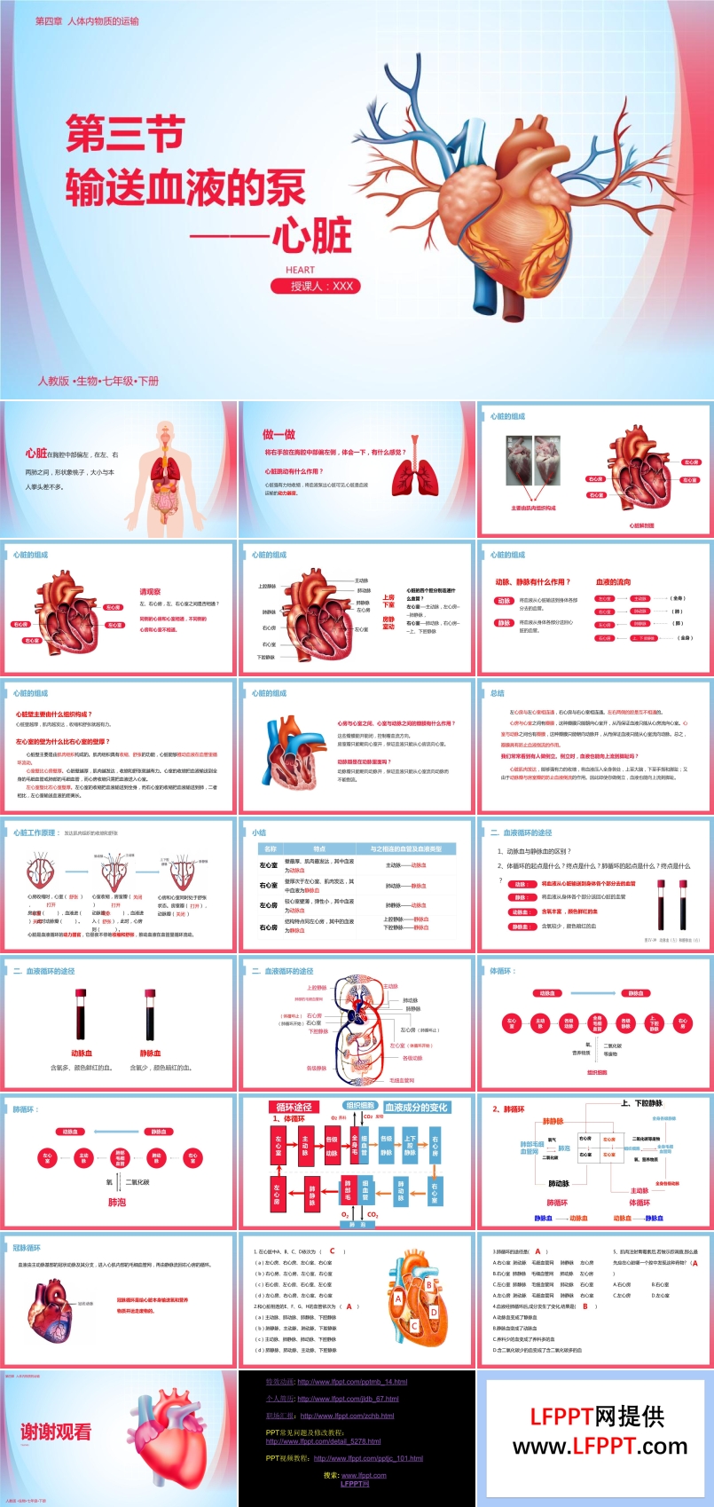 输送血液的泵心脏说课PPT