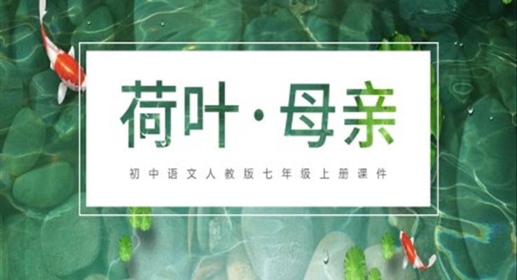 荷叶母亲课件ppt