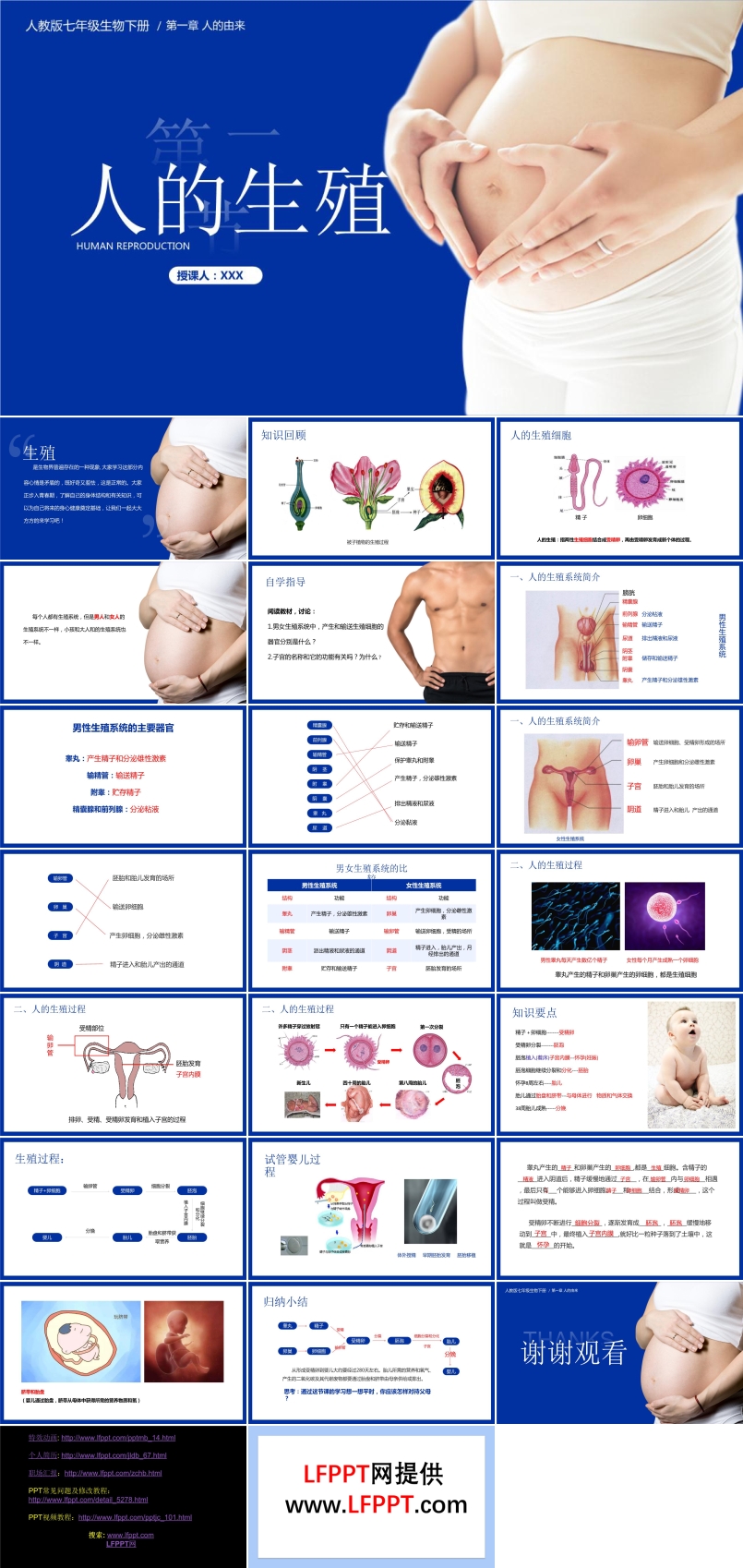 人的生殖PPT课件