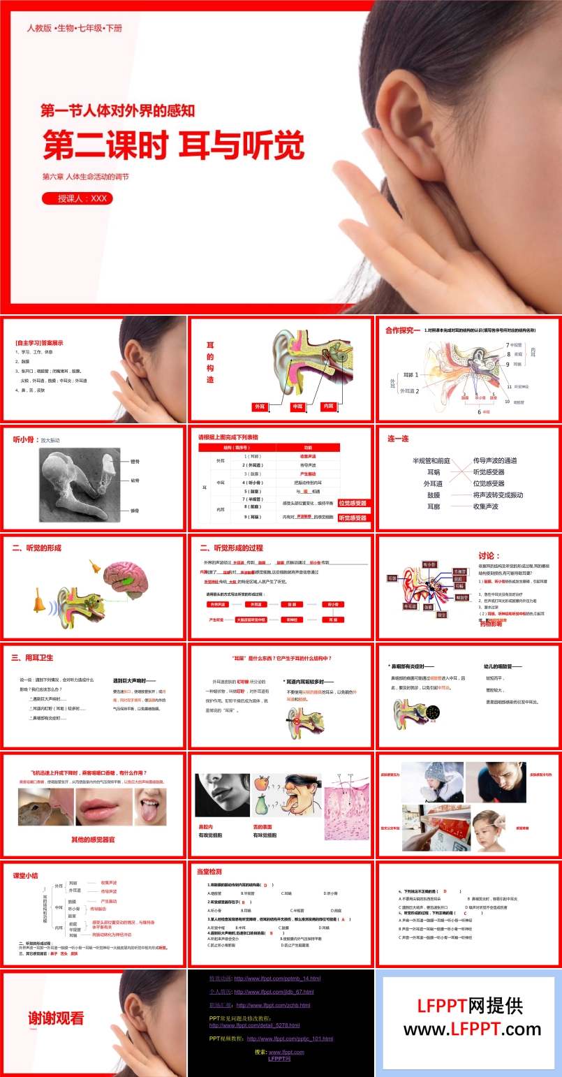 耳与听觉PPT课件