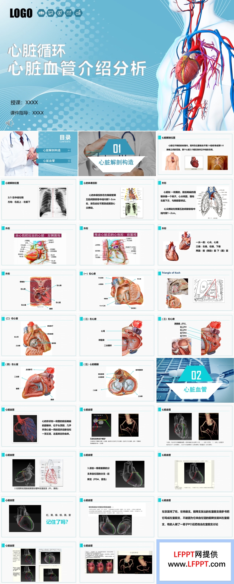 心脏血管介绍分析PPT课件