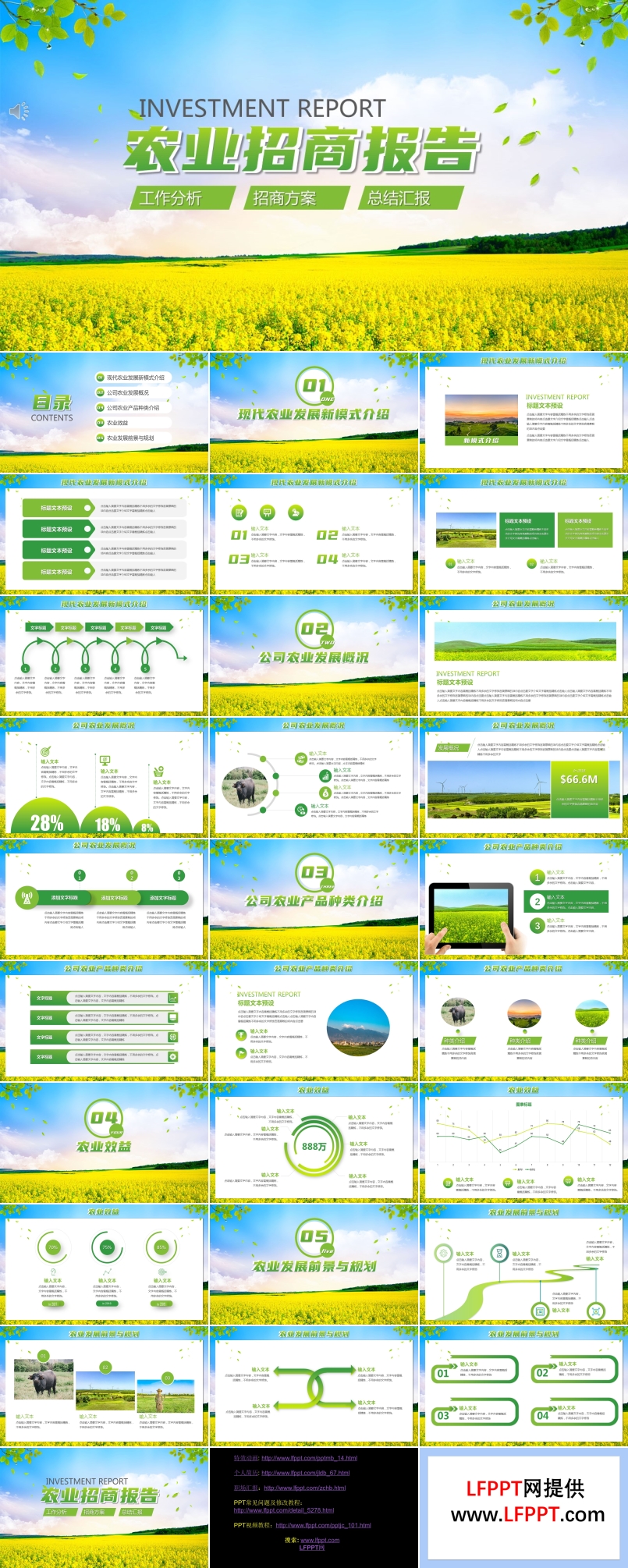 农业招商报告PPT