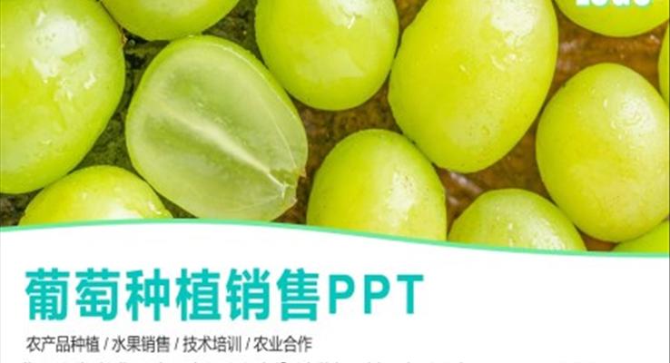 葡萄种植销售PPT培训