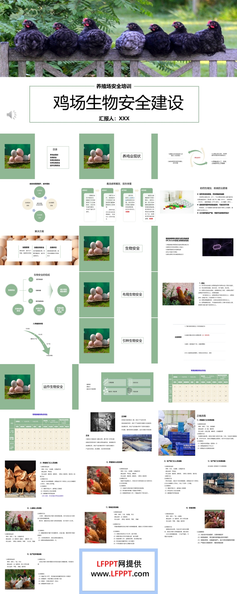 鸡场生物安全建设安全生产PPT