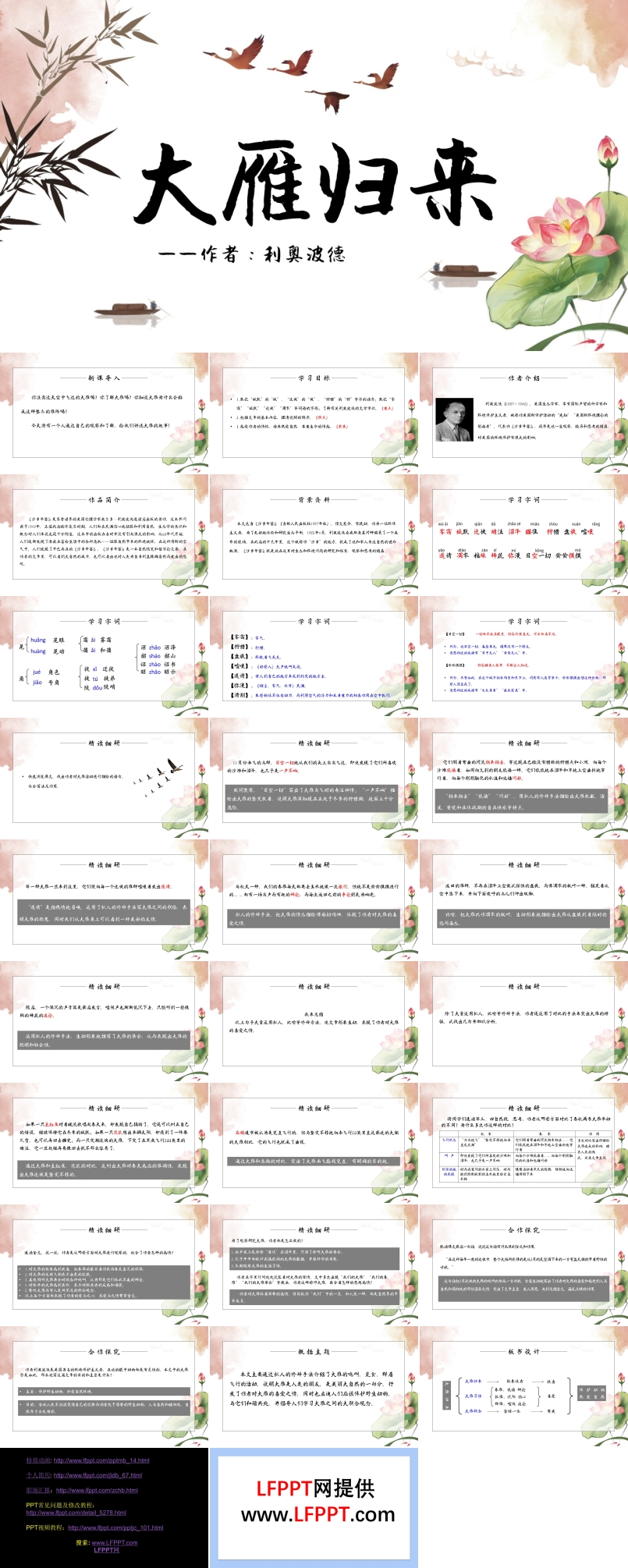 《大雁归来》教育教学课件PPT