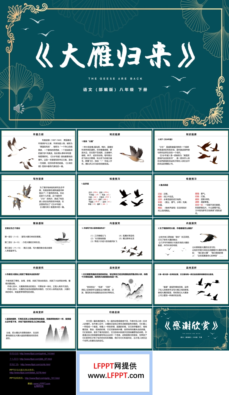 部编版大雁归来PPT课件