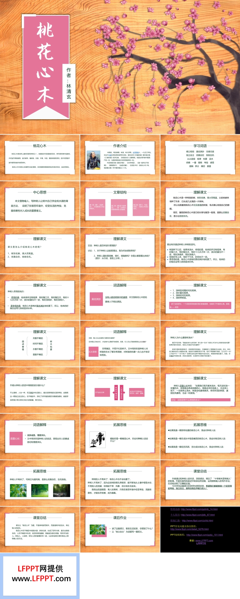 小学语文人教版六年级《桃花心木》课件PPT