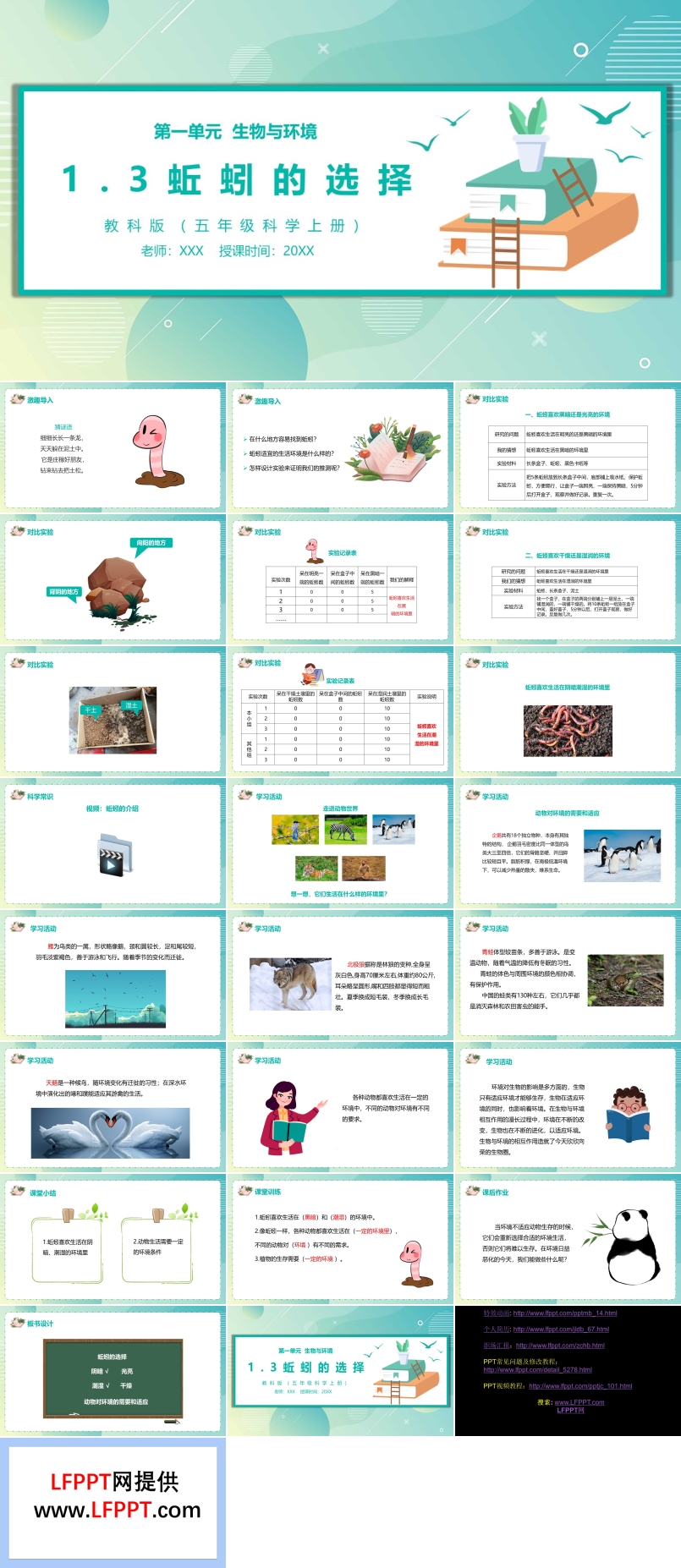 教科版五年级科学上册蚯蚓的选择PPT模板