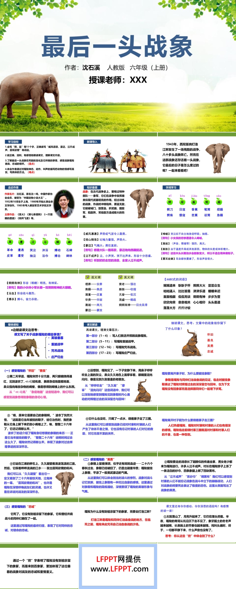 《最后一头战象》PPT课件