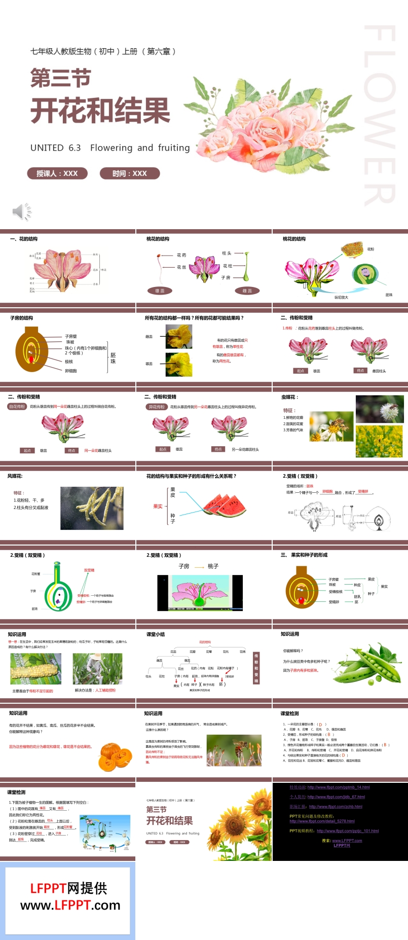 部编版七年级生物上册开花和结果课件PPT