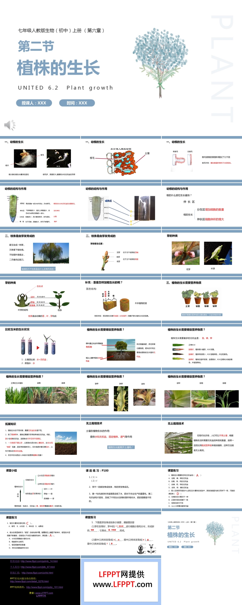 部编版七年级生物上册植株的生长课件PPT