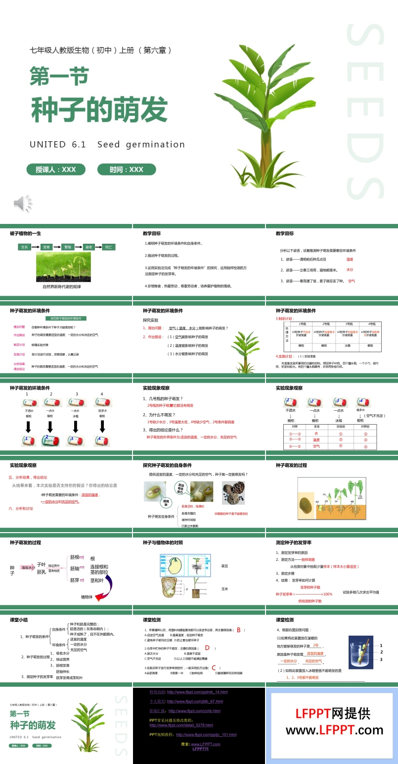 部编版七年级生物上册种子的萌发课件PPT