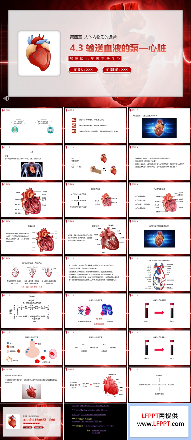 部编版七年级生物下册输送血液的泵心脏课件PPT