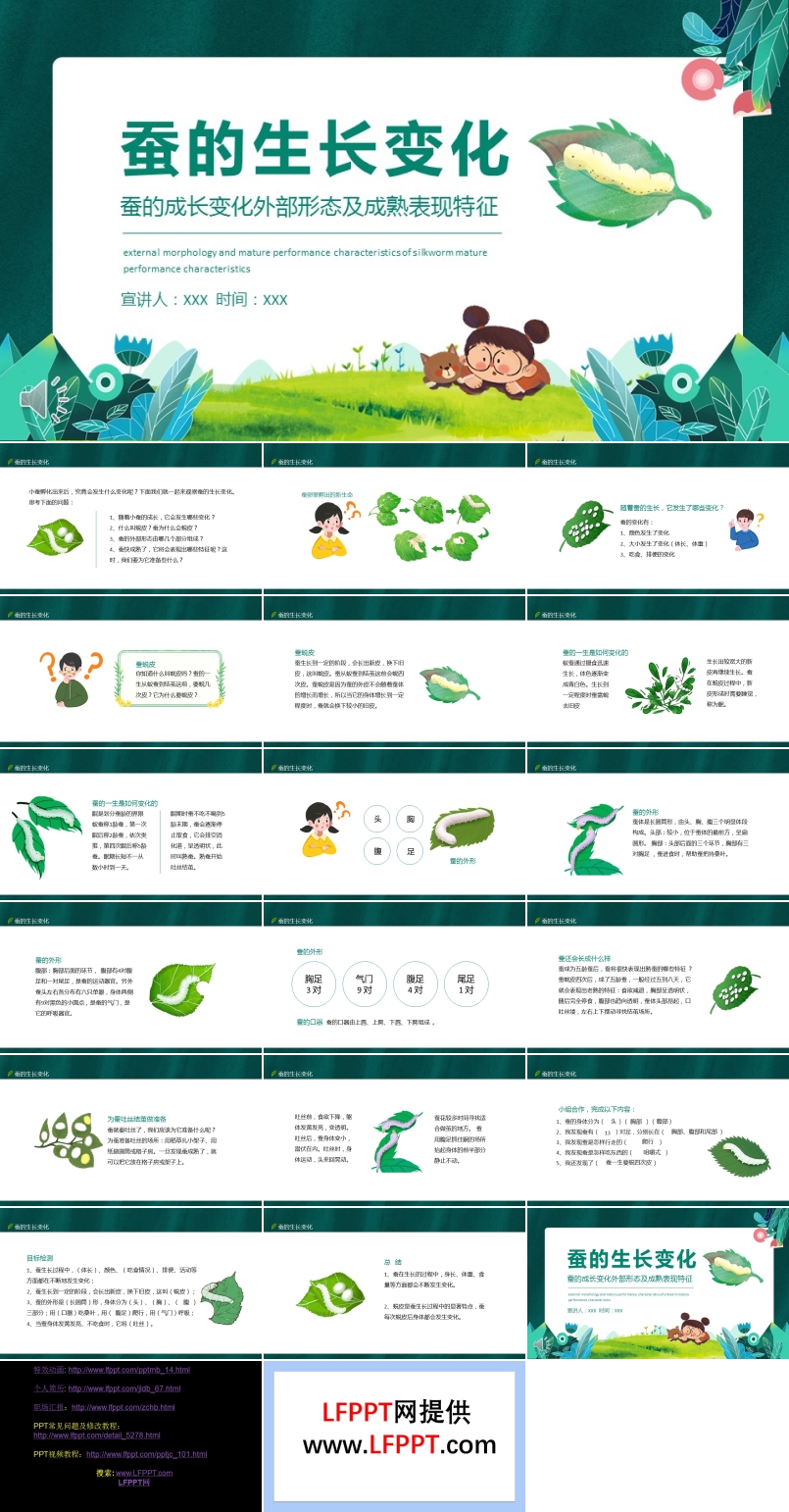 蚕的成长变化外部形态及成熟表现特征动态PPT课件