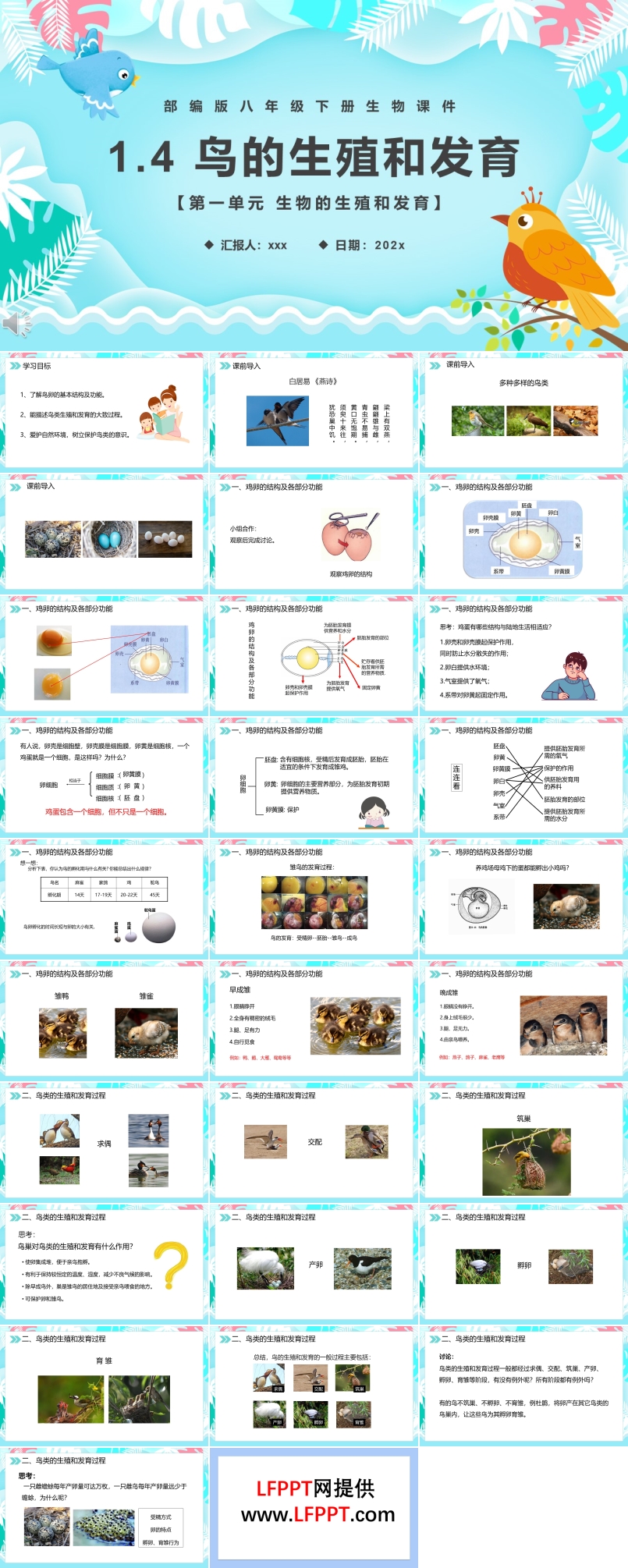 部编版鸟的生殖和发育PPT课件