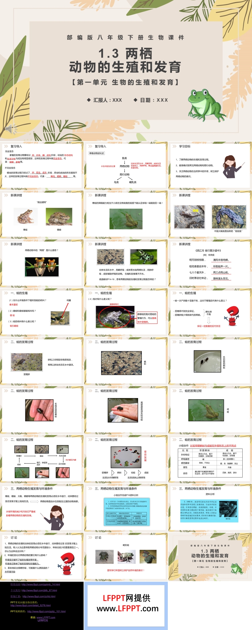 部编版八年级生物下册两栖动物的生殖和发育课件PPT