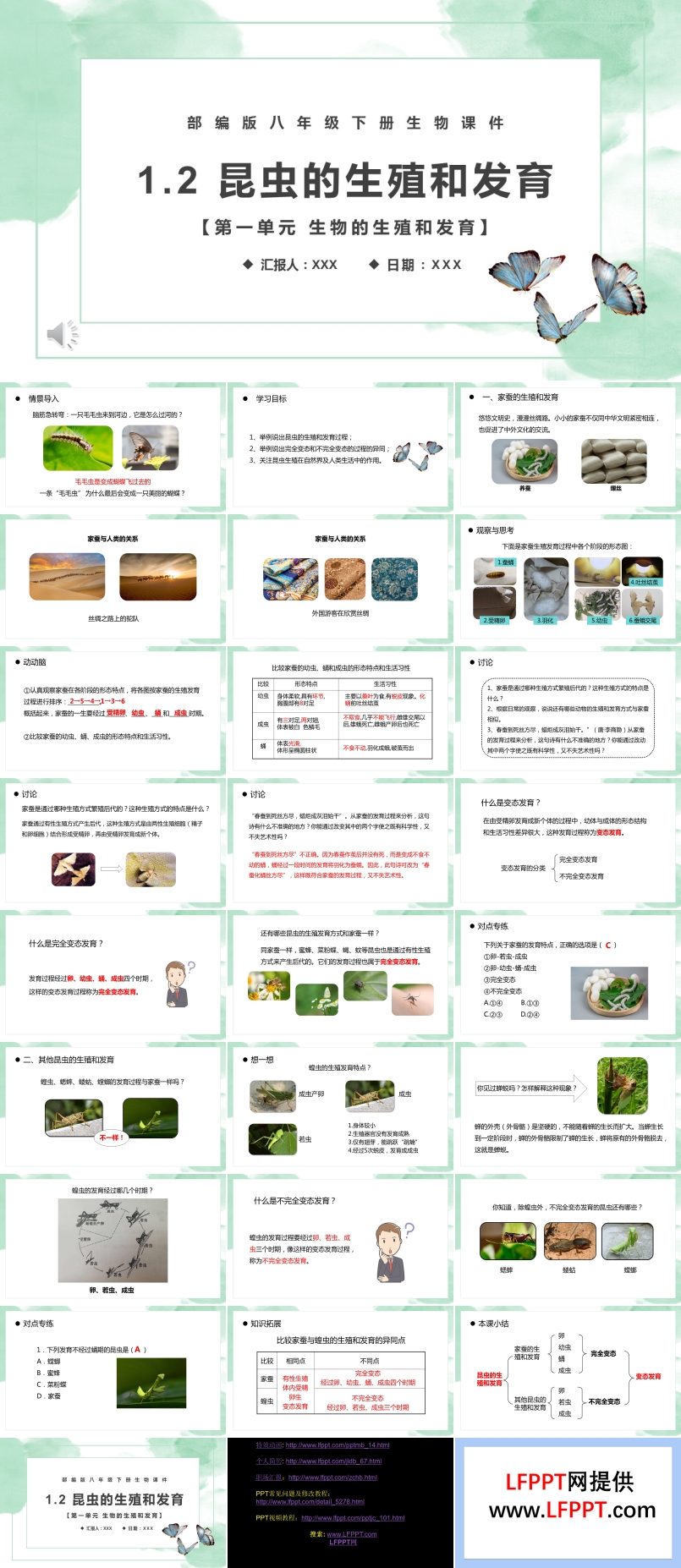 部编版八年级生物下册昆虫的生殖和发育课件PPT