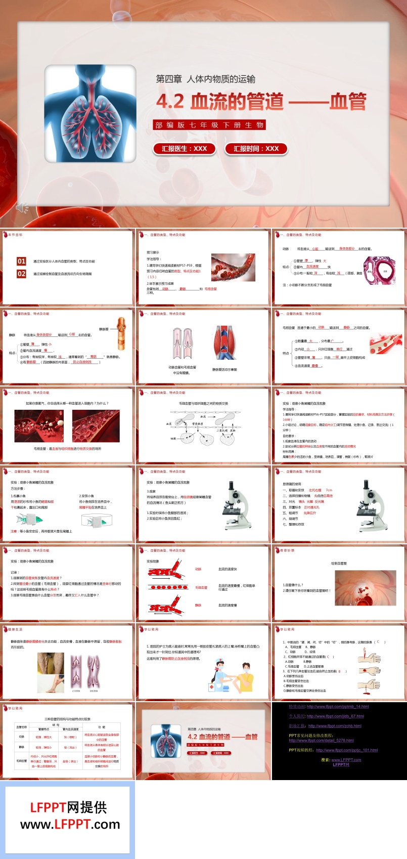 部编版七年级生物下册血流的管道PPT课件