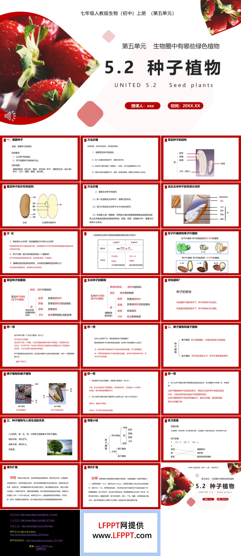 部编版七年级生物上册种子植物课件PPT