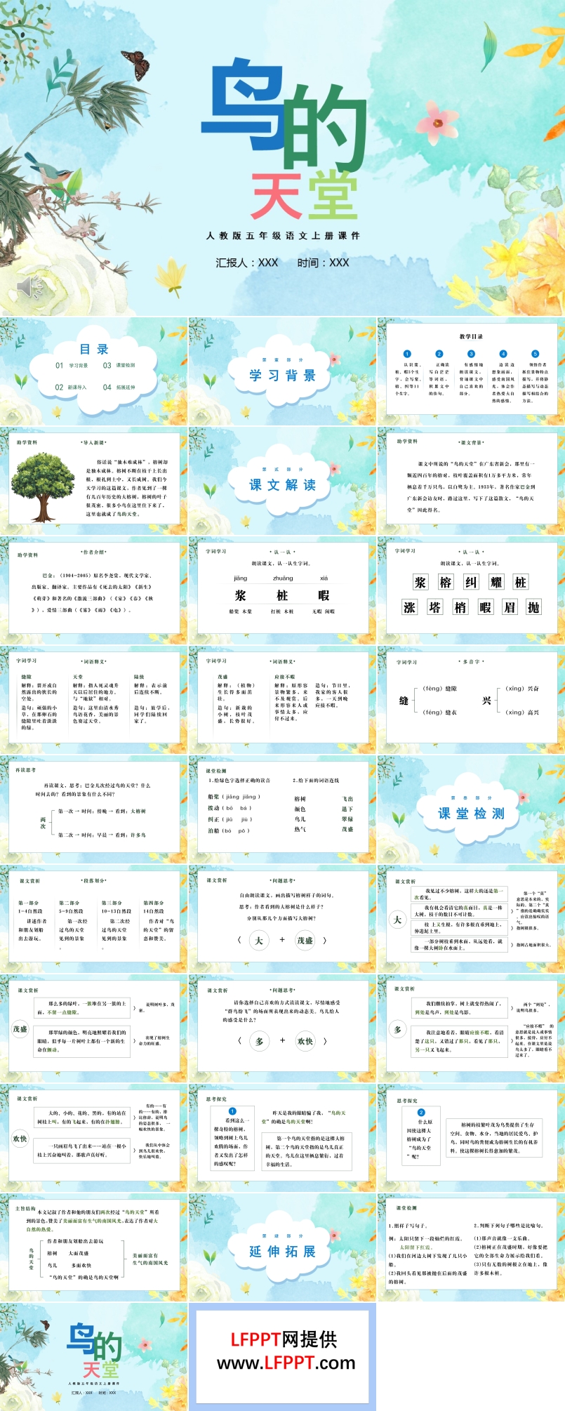 鸟的天堂ppt课件