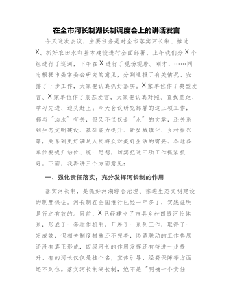 在全市河长制湖长制调度会上的讲话发言