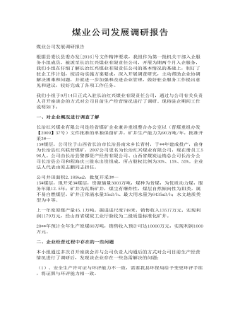 煤业公司发展调研报告