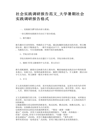 大学暑期社会实践调研报告格式