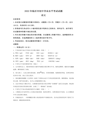 2022年山东省临沂市中考语文真题（原卷版）