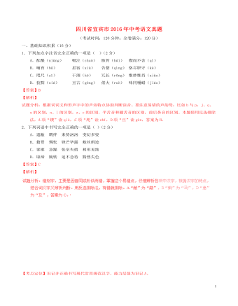 四川省宜宾市2016年中考语文真题（含解析）