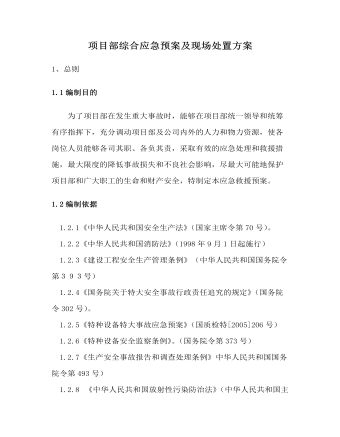 项目部综合应急预案及现场处置方案