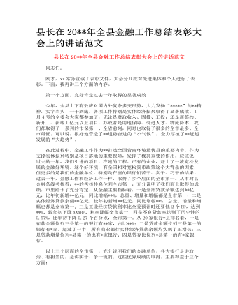 县长在全县金融工作总结表彰大会上的讲话范文