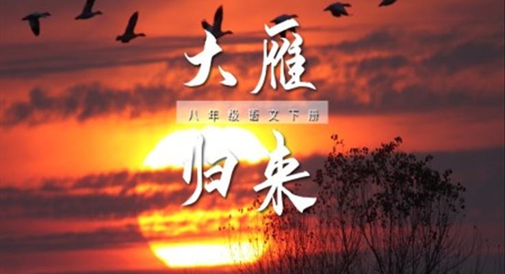 初中语文八年级下册《大雁归来》教育教学课件