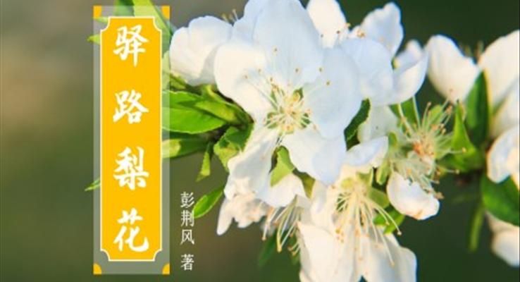 初中语文七年级《驿路梨花》教育教学课件PPT