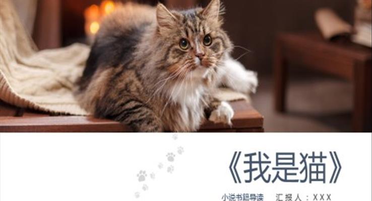 我是猫读后感分享课件PPT