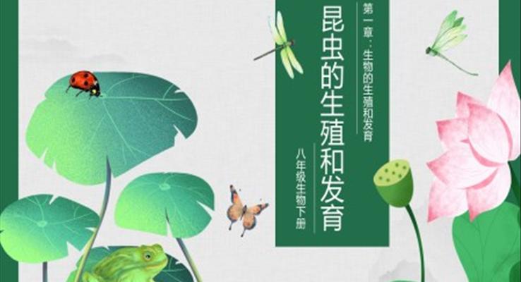 初中生物人教版八年级下册《昆虫的生殖和发育生物》教育教学课件PPT