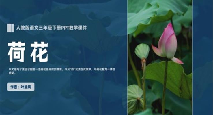 人教版语文三年级下册叶圣陶《荷花》PPT教学课件