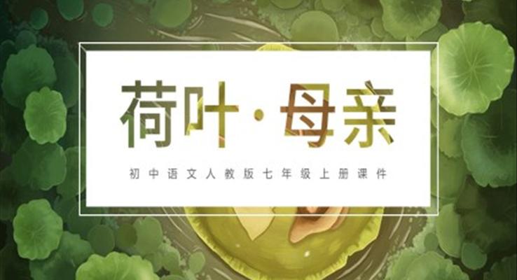 初中语文人教版七年级上册《荷叶母亲》PPT课件