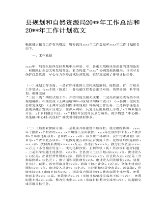 县规划和自然资源局2022年工作总结和2023年工作计划范文