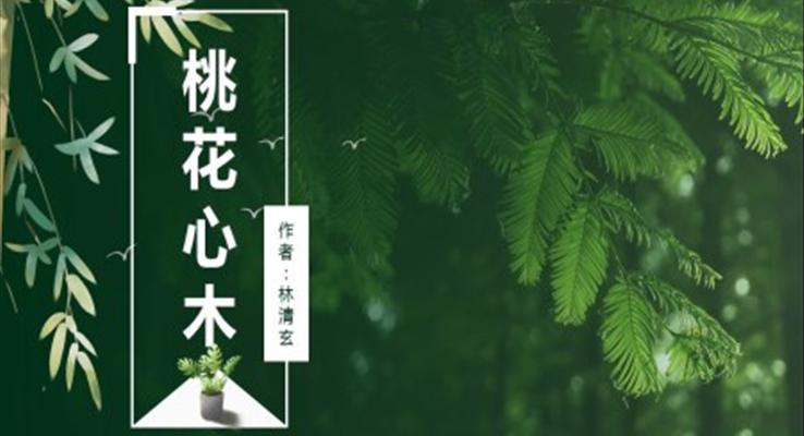 小学语文人教版六年级《桃花心木》PPT课件