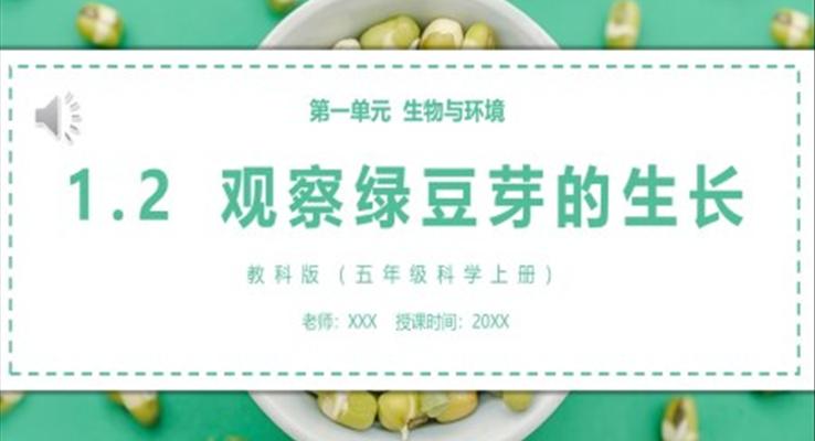 教科版五年级科学上册观察绿豆芽的生长PPT模板