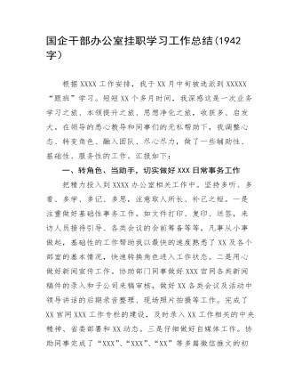 办公室挂职学习工作总结