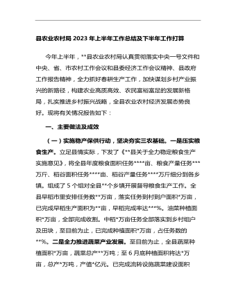 县农业农村局2023年上半年工作总结及下半年工作打算