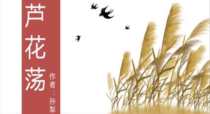 初中语文人教版八年级《芦花荡》教育教学课件PPT模板