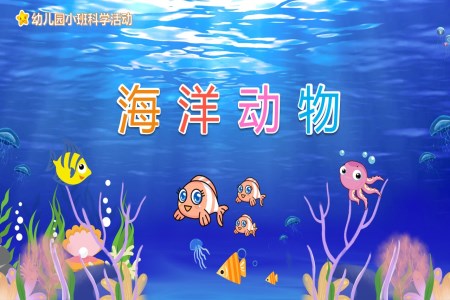 海洋动物PPT课件幼儿教育读物绘本故事