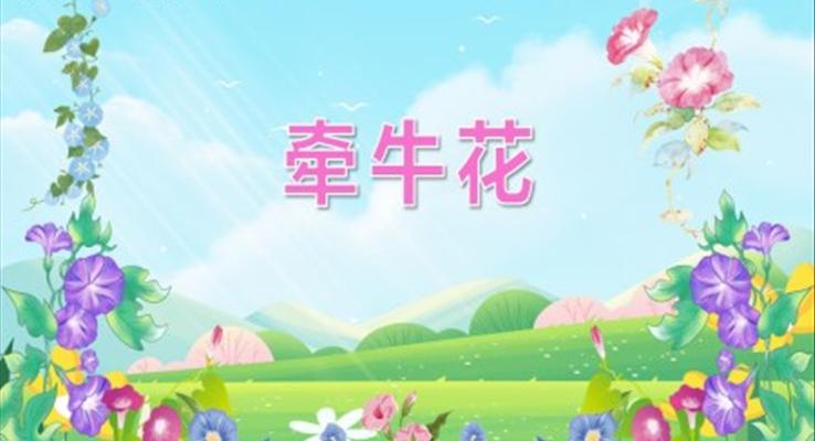 幼儿园教学课件科学教育《牵牛花》PPT课件