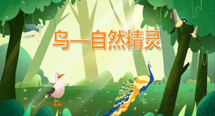 幼儿园教学课件科学教育《鸟自然精灵》PPT课件