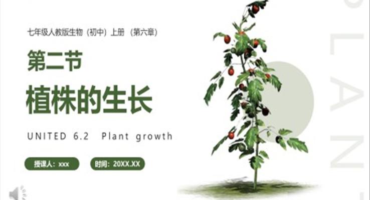 植株的生长课件PPT模板部编版七年级生物上册